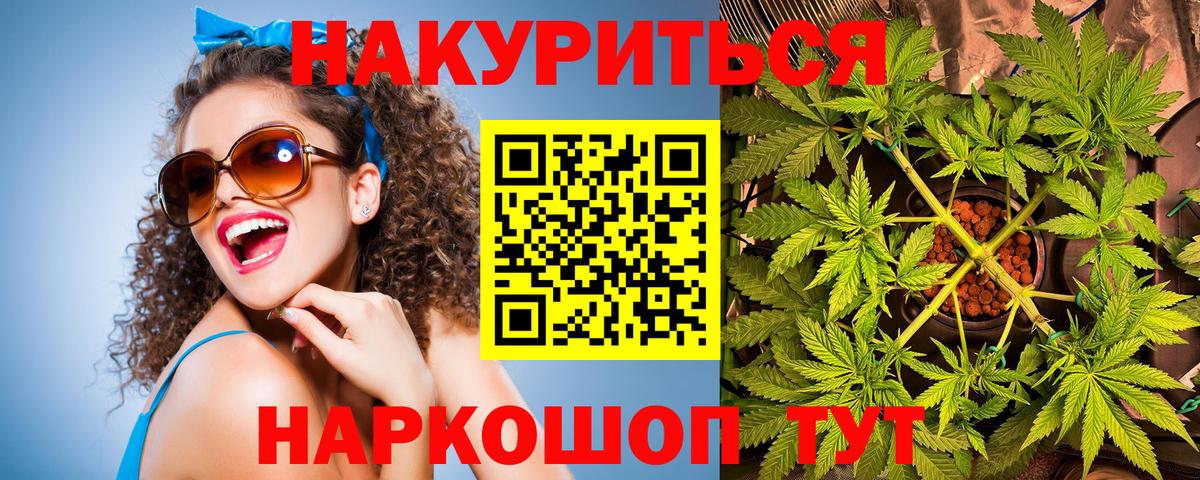 Бошки марихуана тримм  МАРИХУАНА план  Уварово  Вход с VPN  Бошки Шишки ГИДРОПОН  Шишки марихуана конопля 